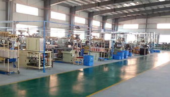 陸川縣華鑫電子廠電子終端產品項目入園投產，助力計算機技術開發產業新突破